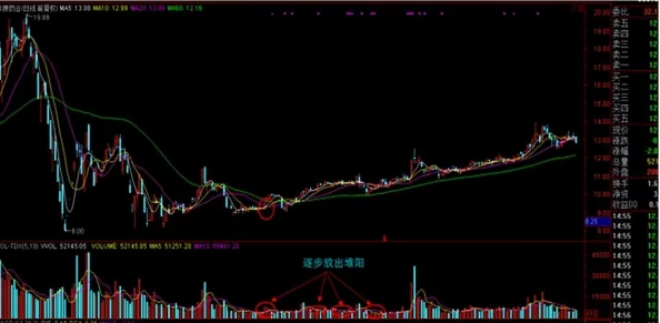 一阴吞两阳与macd的关系：深入分析技术指标在股市交易中的应用及其影响因素